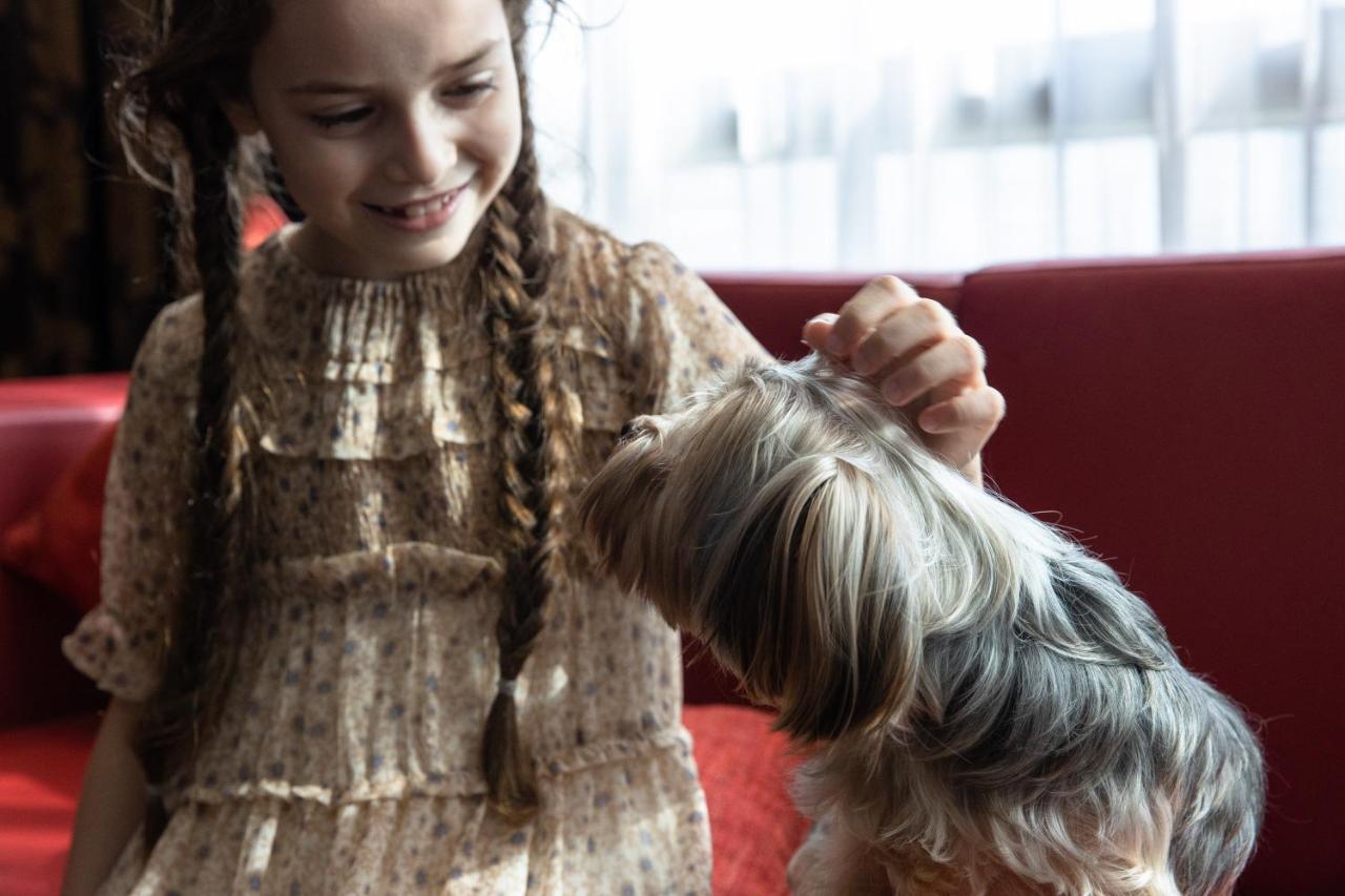 ジュメイラ クリークサイド ホテル ドバイ エクステリア 写真 A girl with a dog