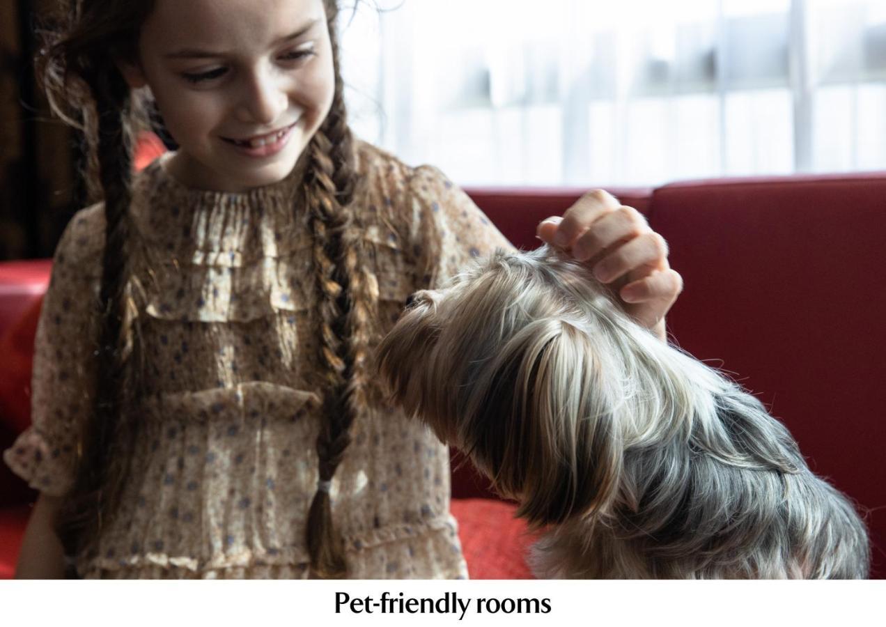 ジュメイラ クリークサイド ホテル ドバイ エクステリア 写真 Pet-friendly rooms