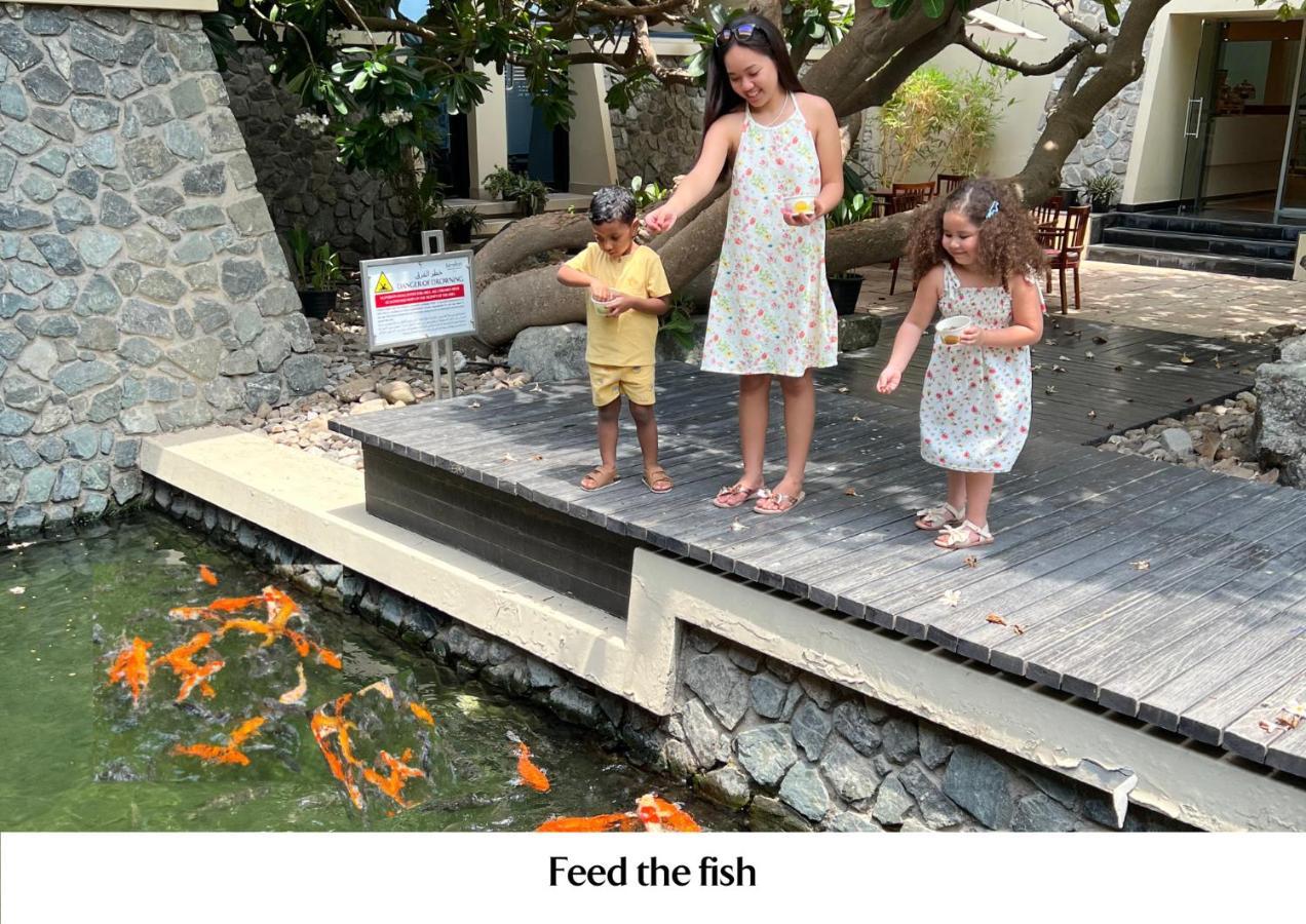 ジュメイラ クリークサイド ホテル ドバイ エクステリア 写真 Feeding the fish